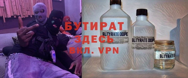 прущие грибы Богданович
