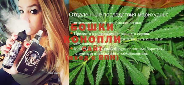 индика Беломорск