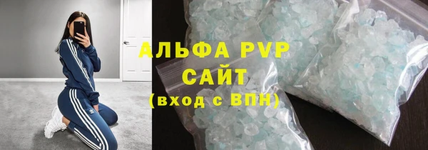 индика Беломорск
