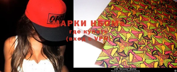 индика Беломорск