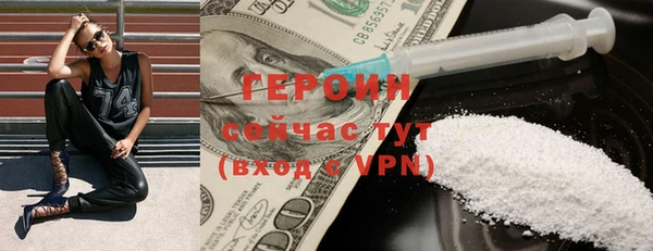 прущие грибы Богданович