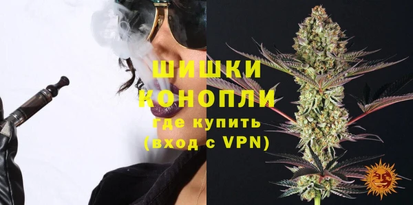 гидра Белокуриха