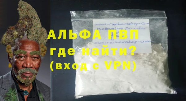прущие грибы Богданович