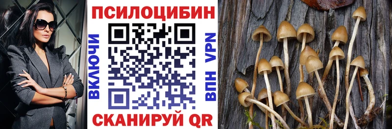 shop Telegram  omg вход  Билибино  Галлюциногенные грибы Magic Shrooms 