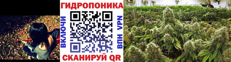Шишки марихуана Amnesia  hydra зеркало  Билибино 